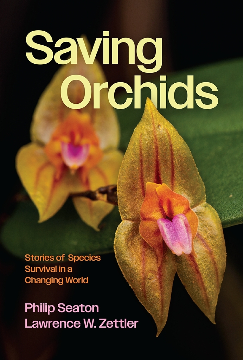 Saving Orchids Stories of Species Survival in a Changing World - (PDF/EPUB Version)