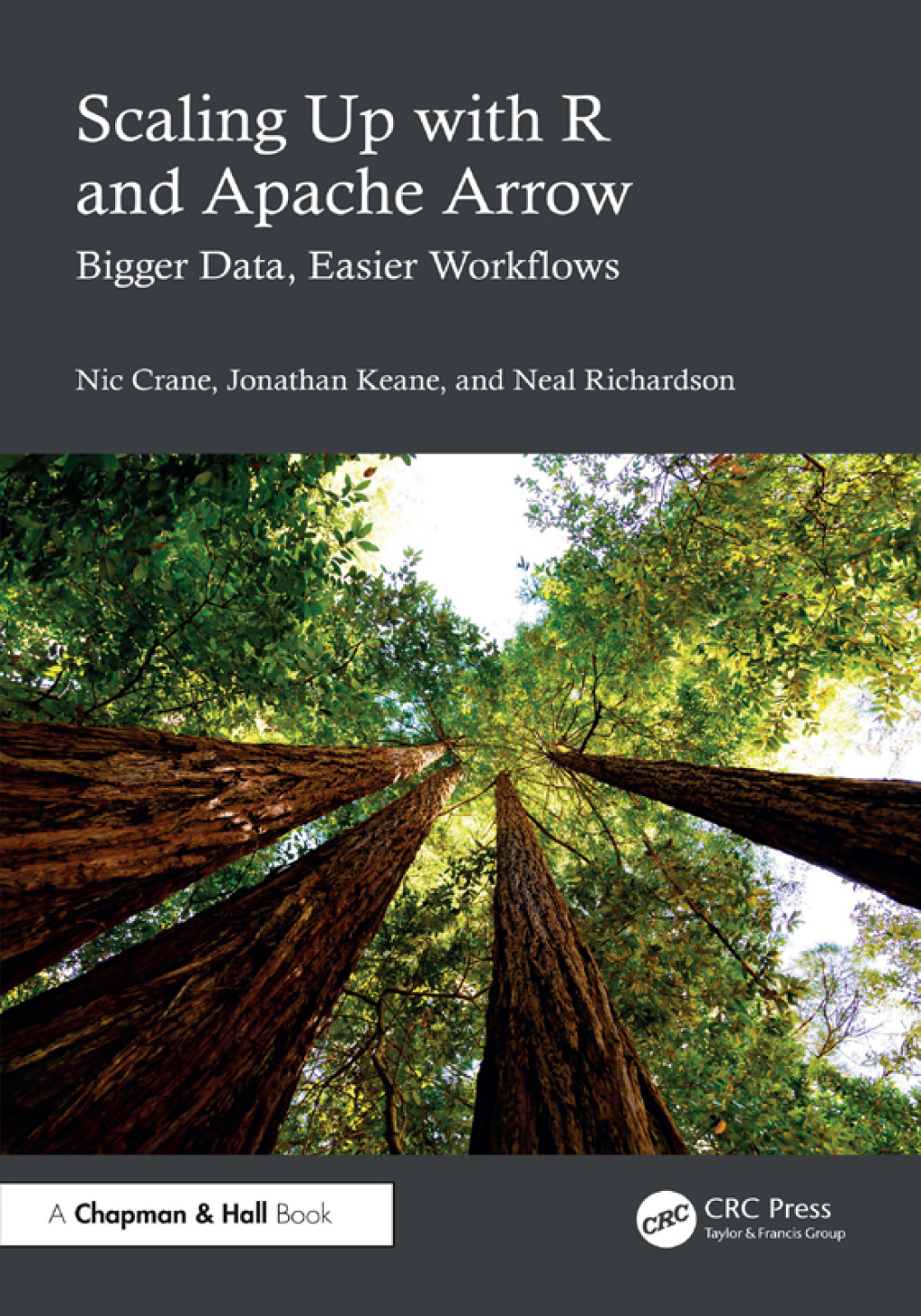 Scaling Up with R and Apache Arrow Bigger Data, Easier Workflows 1st ...