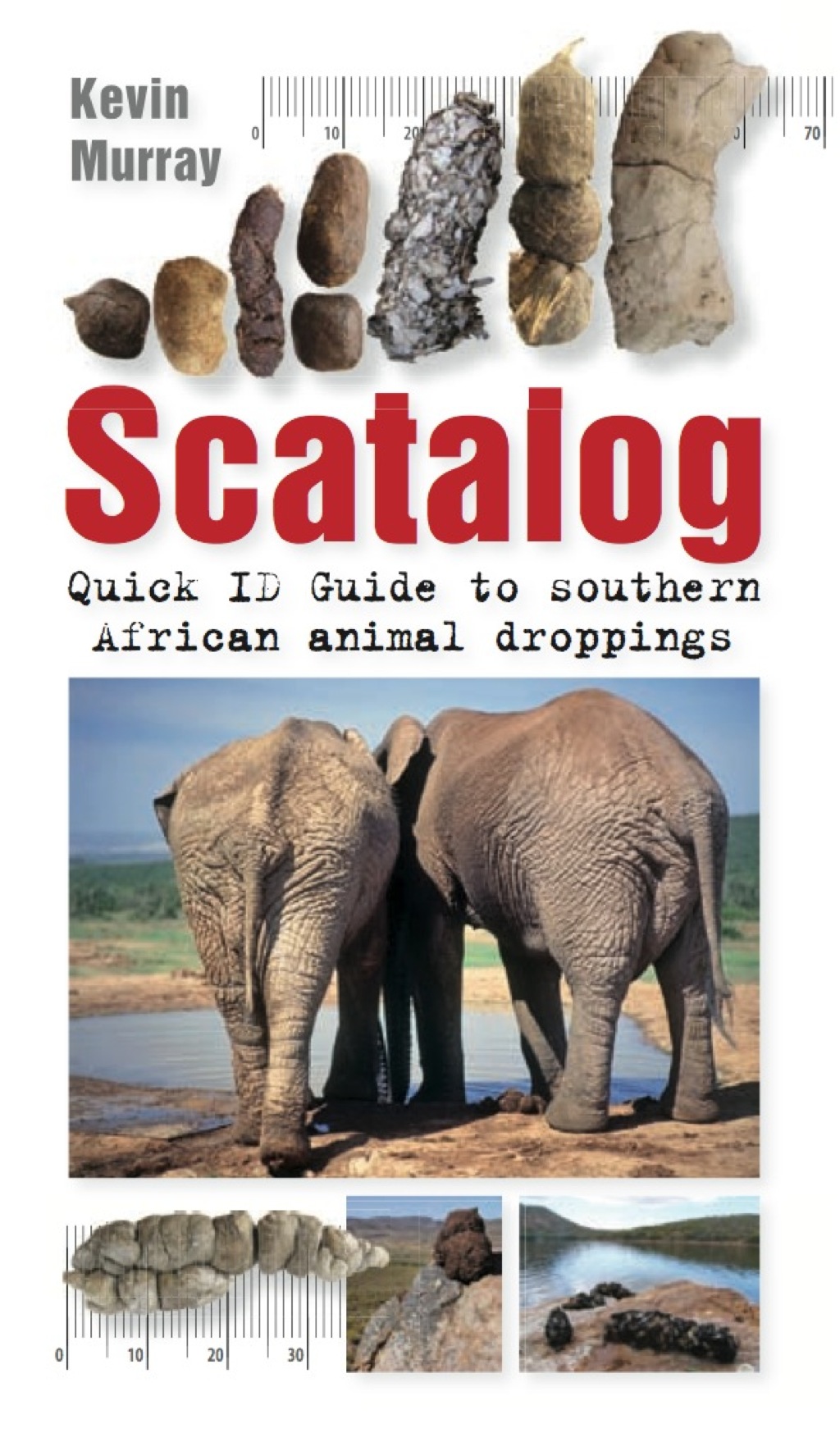 Scatalog Quick ID Guide to Southern African Animal Droppings - (PDF/EPUB Version)