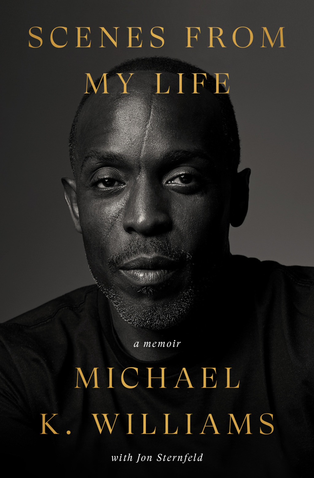 Scenes from My Life A Memoir 1st Edition - (PDF/EPUB Version)