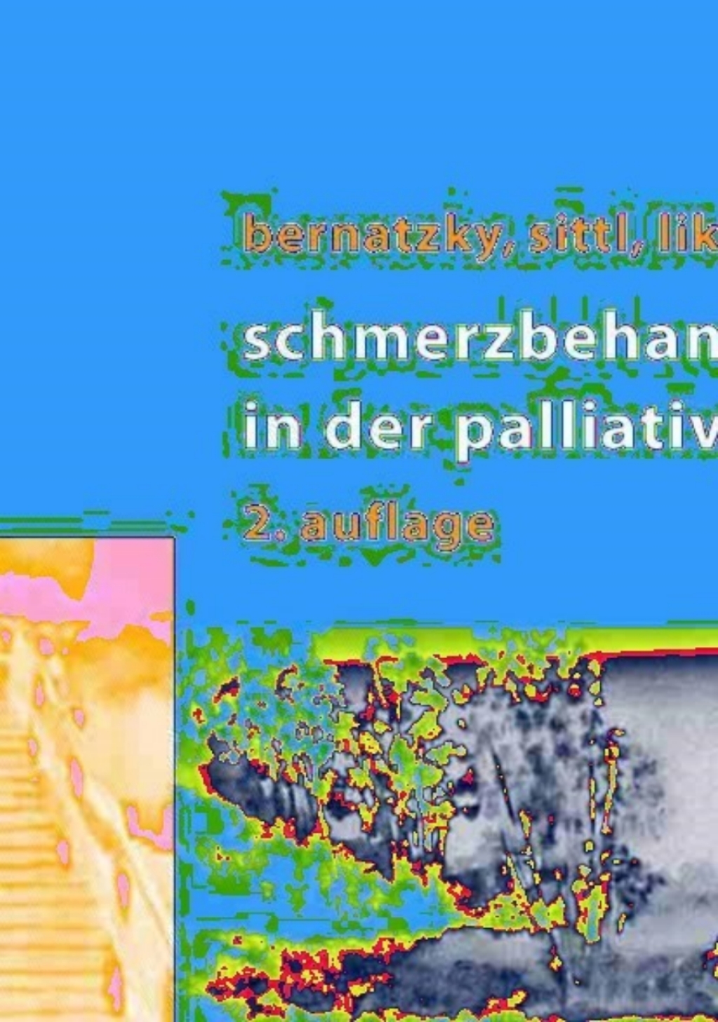 Schmerzbehandlung in der Palliativmedizin 2nd Edition - (PDF/EPUB Version)