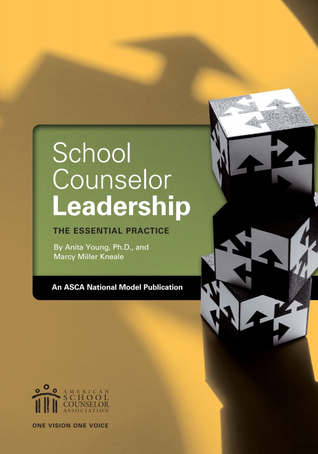 School Counselor Leadership: The Essential Practice - (PDF/EPUB Version)