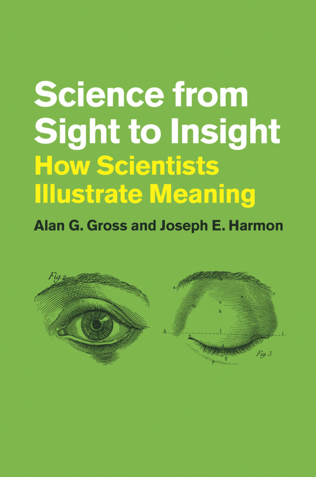 Science from Sight to Insight How Scientists Illustrate Meaning 1st Edition - (PDF/EPUB Version)