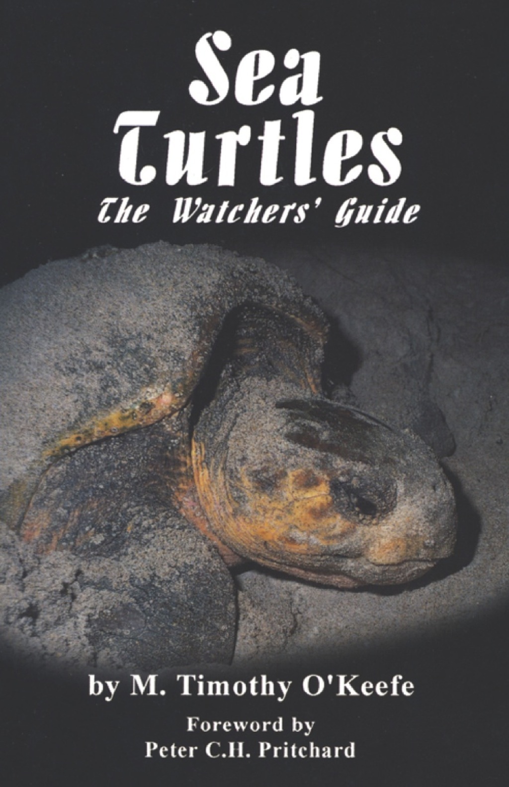 Sea Turtles - (PDF/EPUB Version)