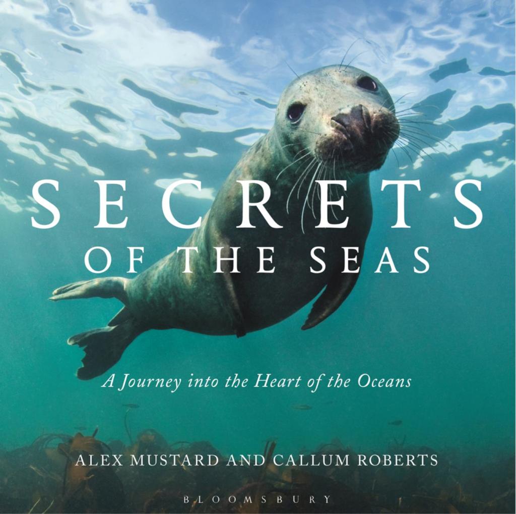 Secrets of the Seas A Journey into the Heart of the Oceans 1st Edition - (PDF/EPUB Version)