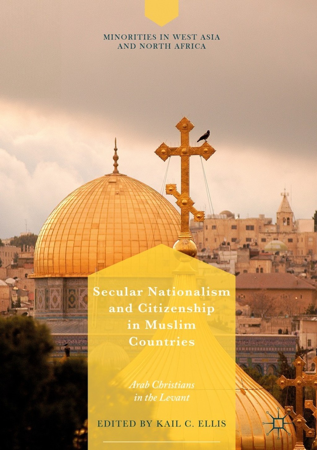 Secular Nationalism and Citizenship in Muslim Countries Arab Christians in the Levant - (PDF/EPUB Version)