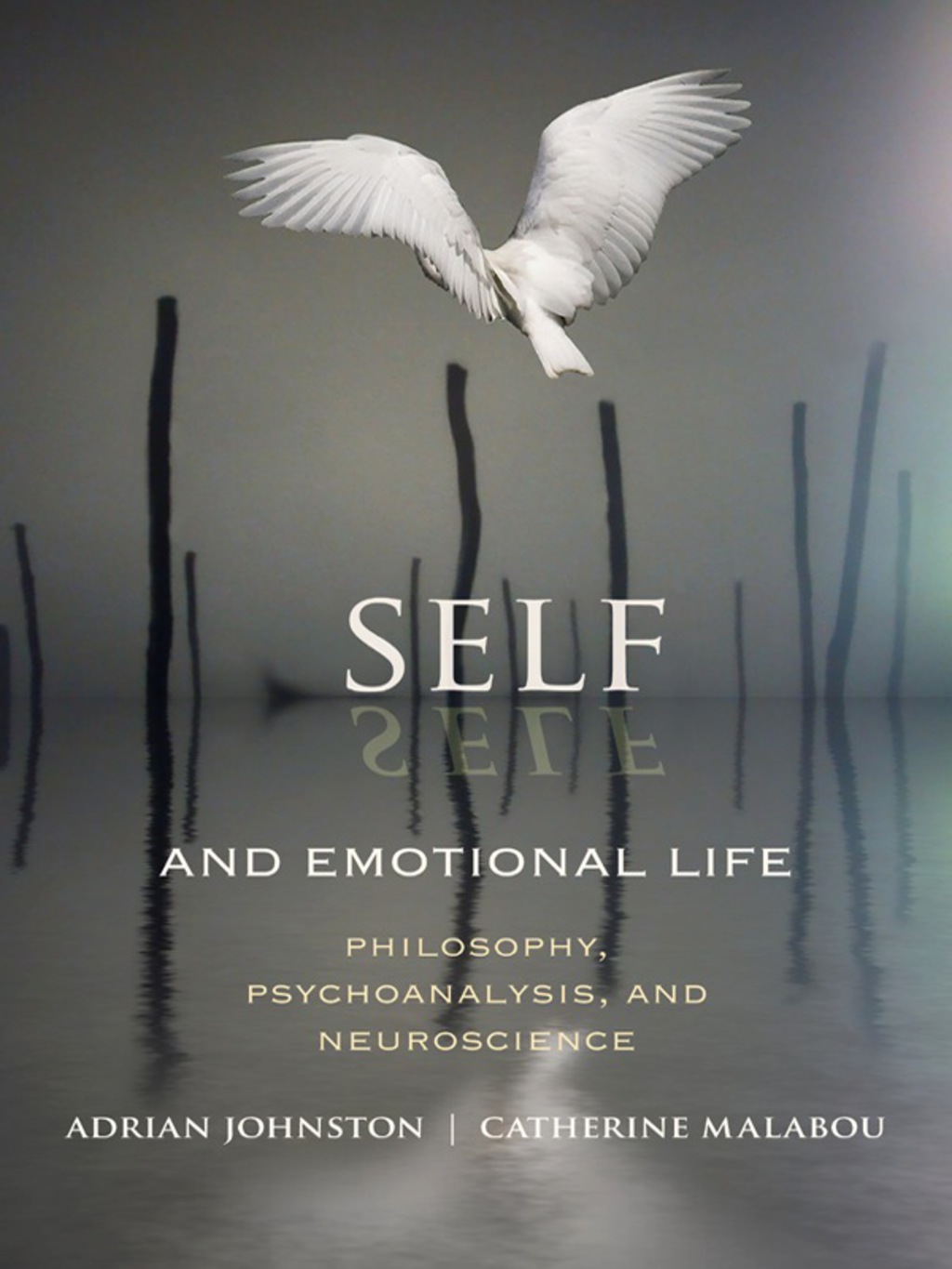 Self and Emotional Life Philosophy, Psychoanalysis, and Neuroscience - (PDF/EPUB Version)
