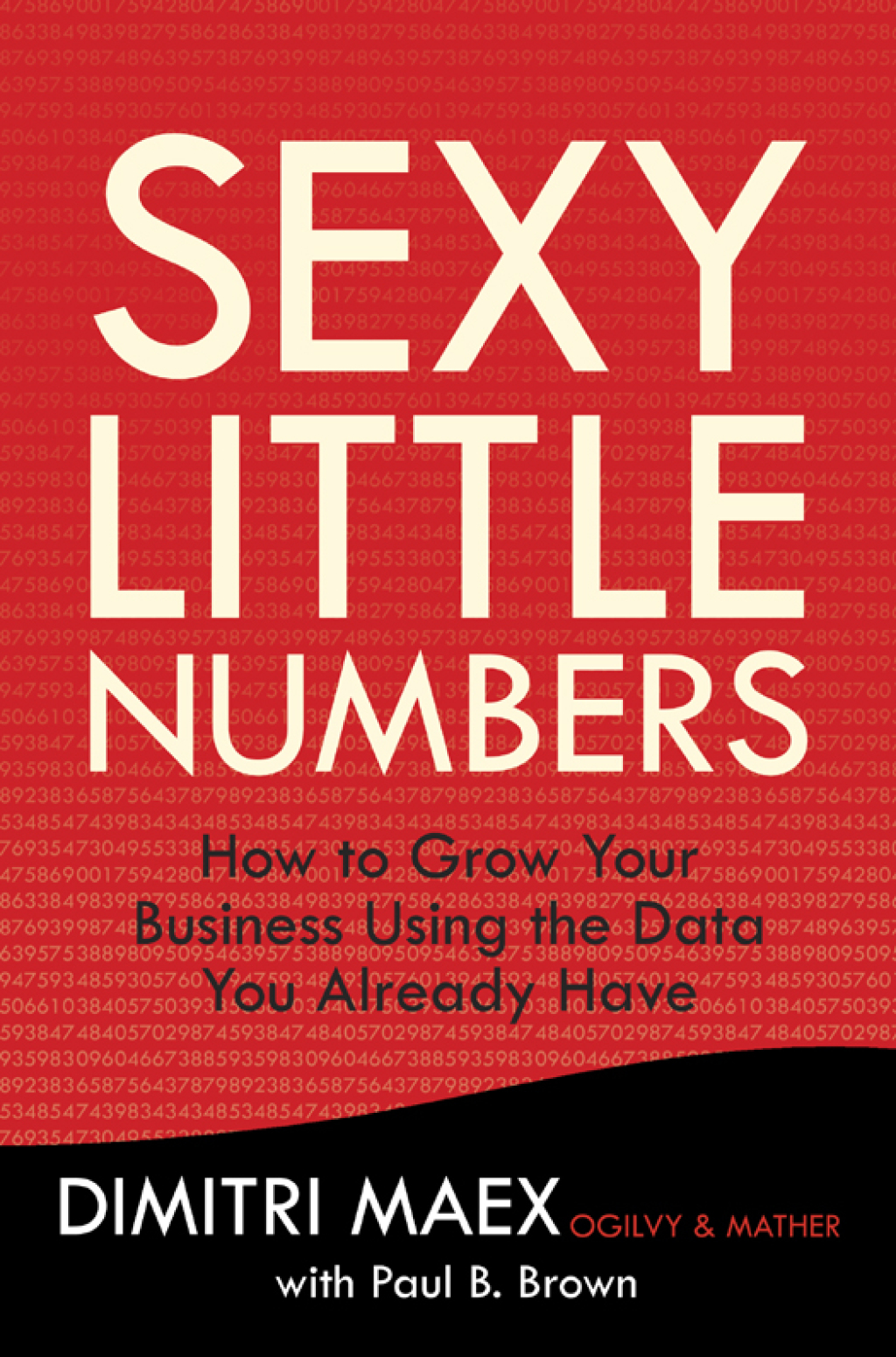Sexy Little Numbers How to Grow Your Business Using the Data You Already Have - (PDF/EPUB Version)