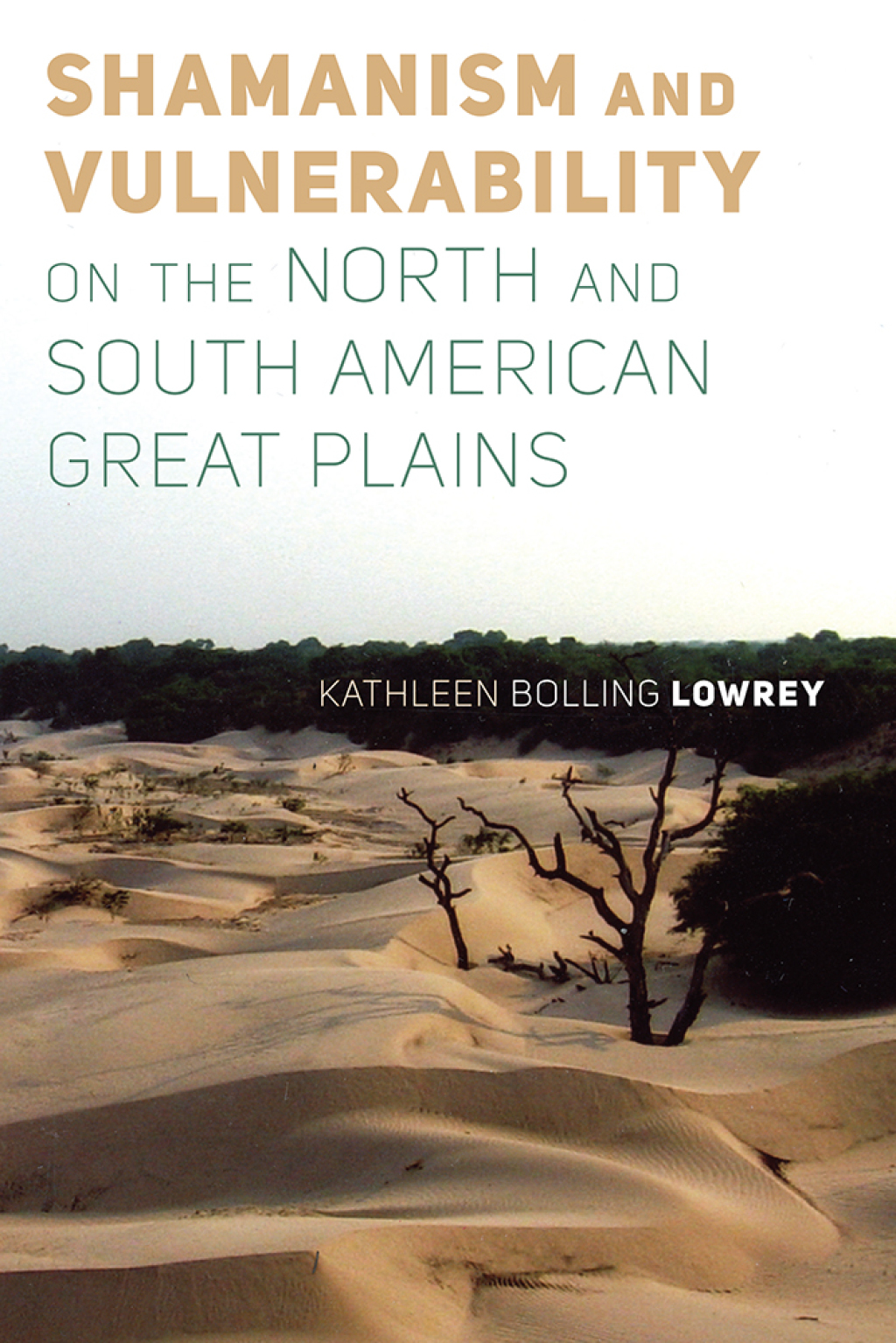 Shamanism and Vulnerability on the North and South American Great Plains - (PDF/EPUB Version)