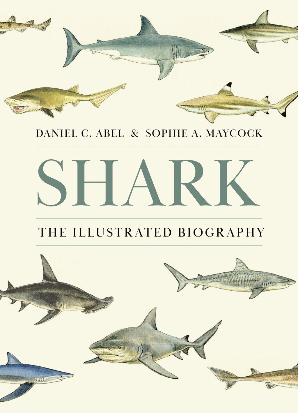Shark The Illustrated Biography - (PDF/EPUB Version)