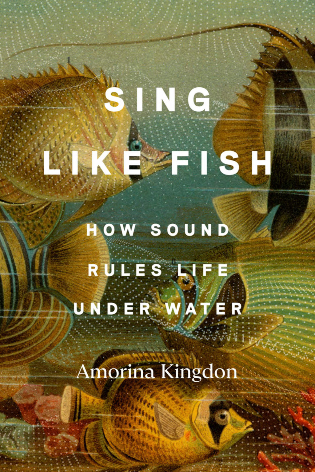 Sing Like Fish How Sound Rules Life Under Water - (PDF/EPUB Version)