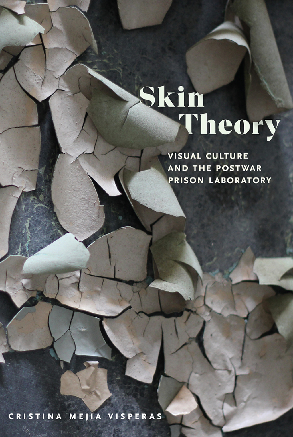 Skin Theory Visual Culture and the Postwar Prison Laboratory - (PDF/EPUB Version)
