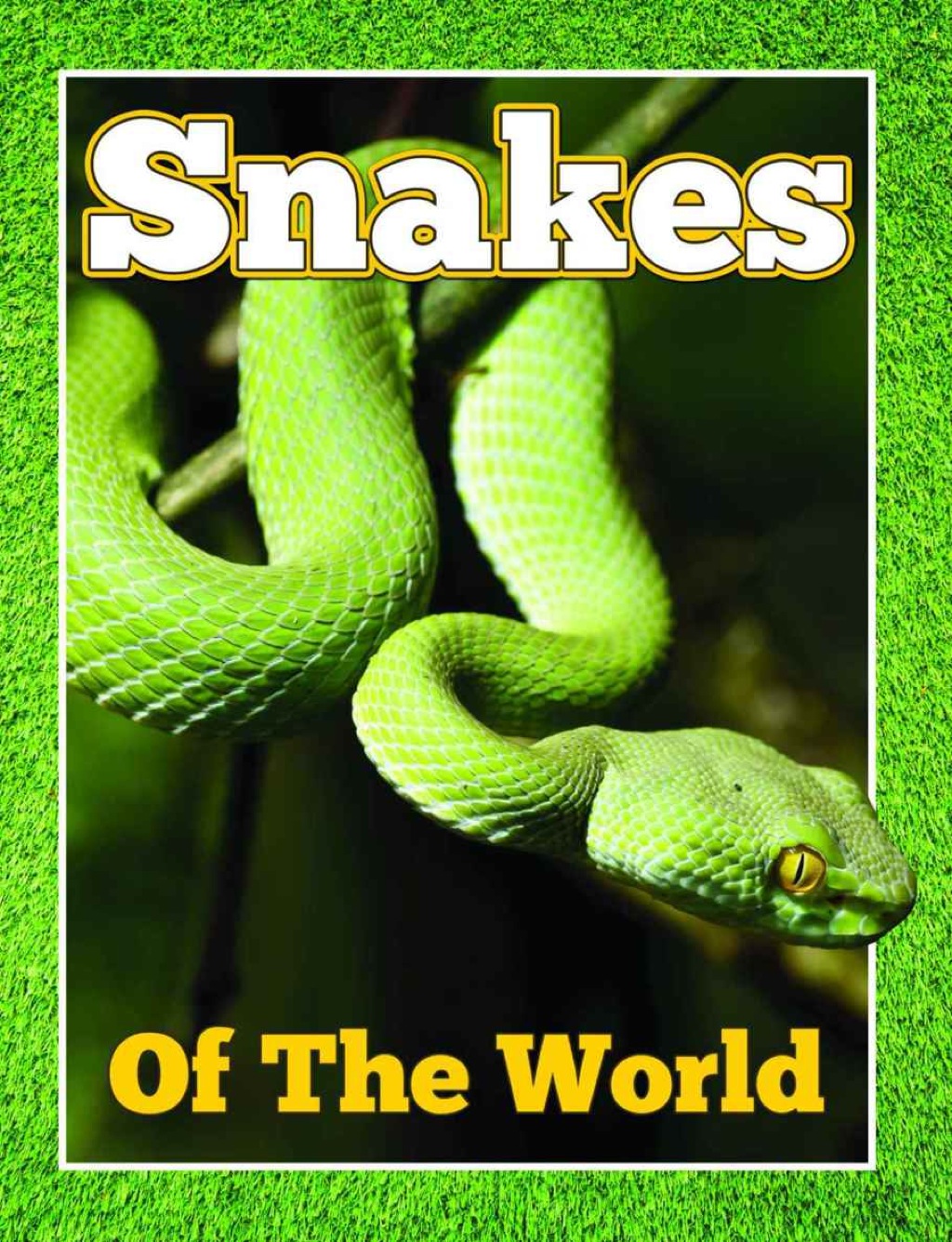 Snakes Of The World From Pythons to Black Mamba - (PDF/EPUB Version)