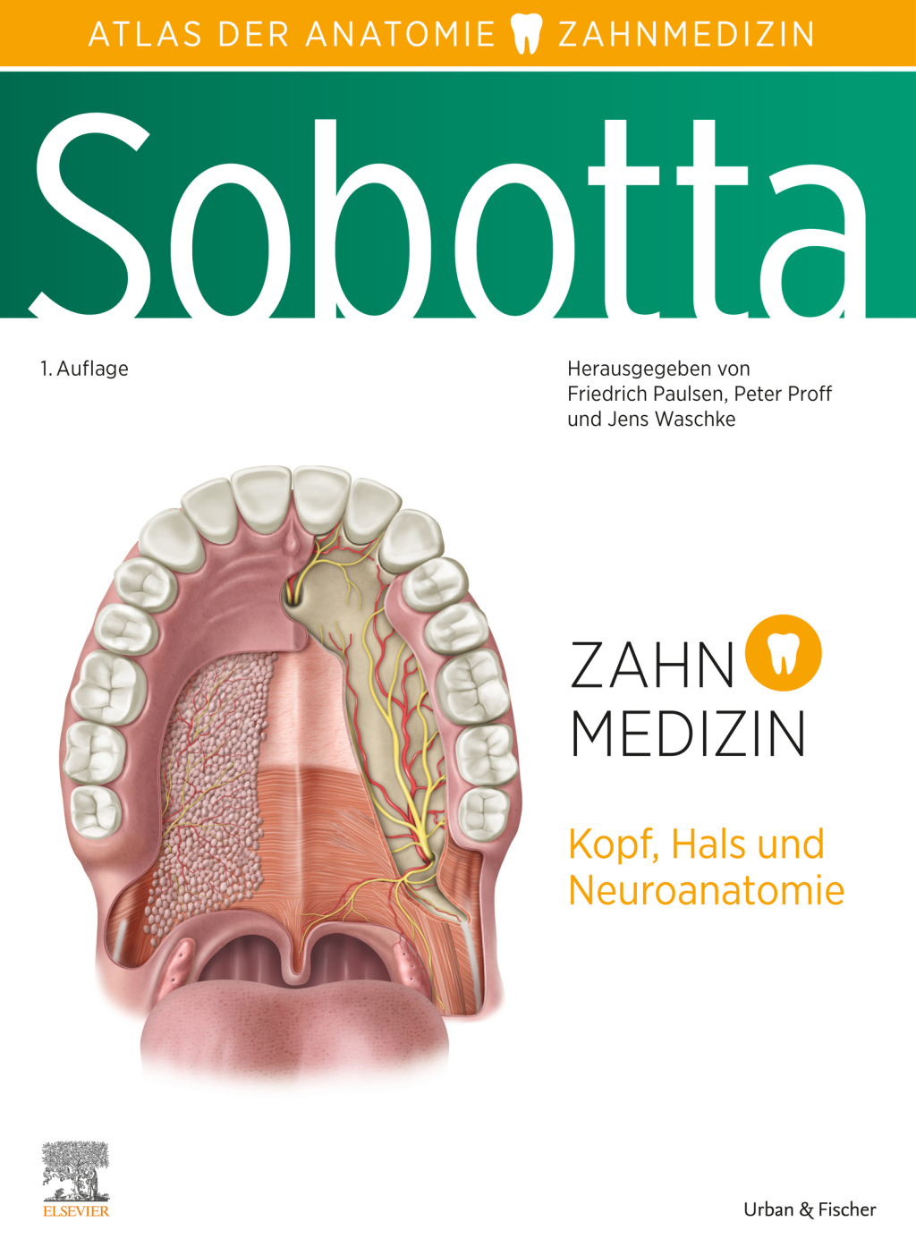 Sobotta Atlas der Anatomie fÃ¼r Zahnmedizin 1st Edition â€“ PDF/EPUB ...