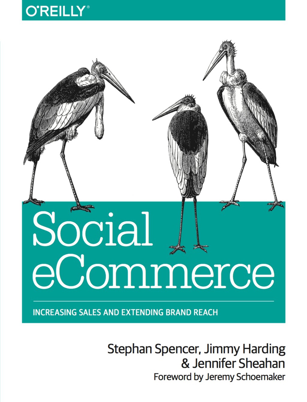 Social eCommerce Increasing Sales and Extending Brand Reach 1st Edition - (PDF/EPUB Version)