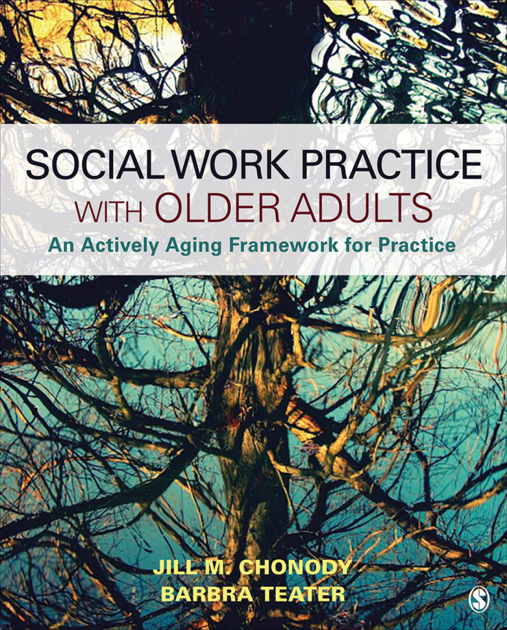 Social Work Practice With Older Adults An Actively Aging Framework for ...