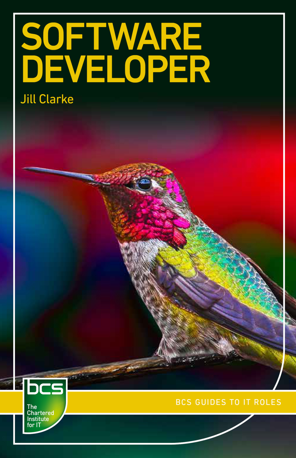 Software Developer 1st Edition - (PDF/EPUB Version)