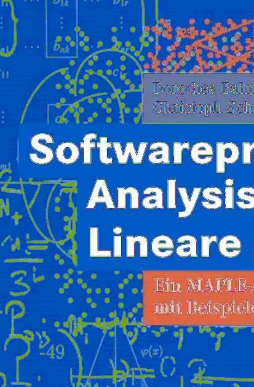 Softwarepraktikum - Analysis und Lineare Algebra Ein MAPLE-Arbeitsbuch mit vielen Beispielen und LÃ¶sungen - (PDF/EPUB Version)