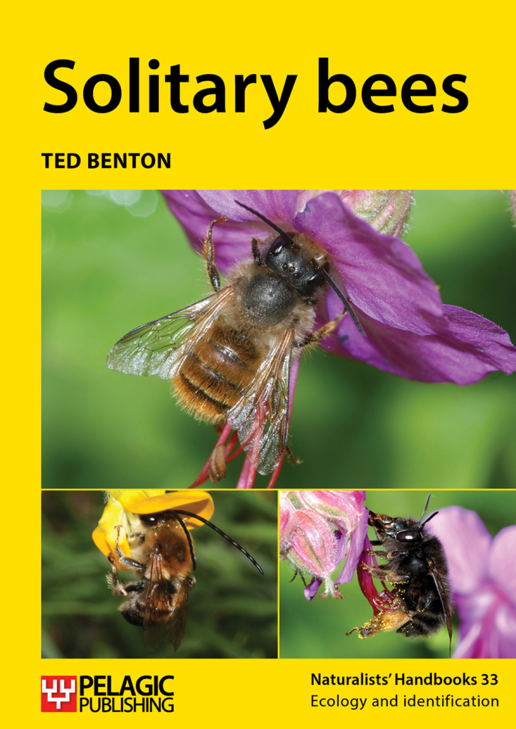 Solitary bees 1st Edition - (PDF/EPUB Version)