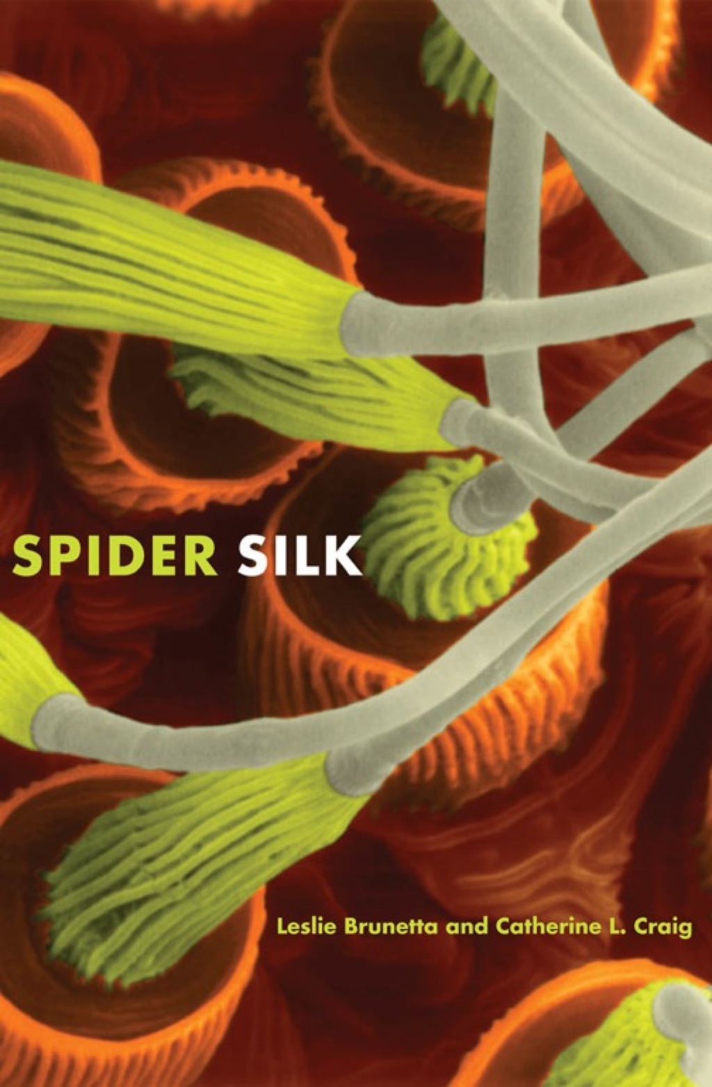 Spider Silk - (PDF/EPUB Version)