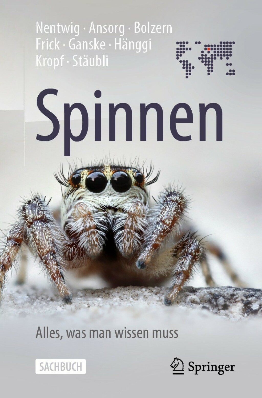 Spinnen - Alles, was man wissen muss - (PDF/EPUB Version)