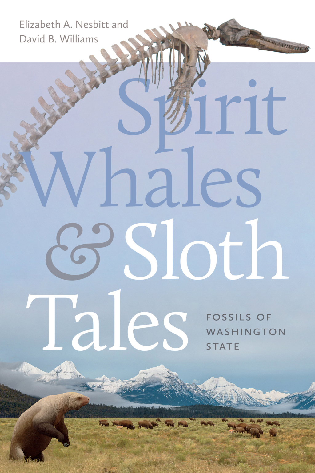 Spirit Whales and Sloth Tales Fossils of Washington State - (PDF/EPUB Version)