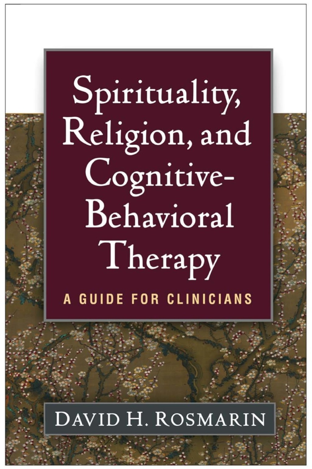 Spirituality, Religion, and Cognitive-Behavioral Therapy A Guide for Clinicians - (PDF/EPUB Version)