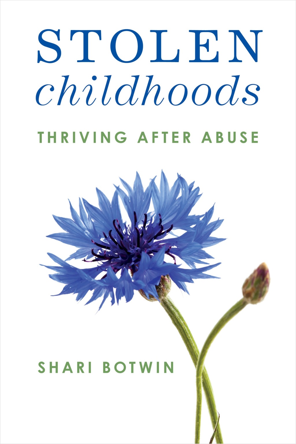 Stolen Childhoods Thriving After Abuse - (PDF/EPUB Version)