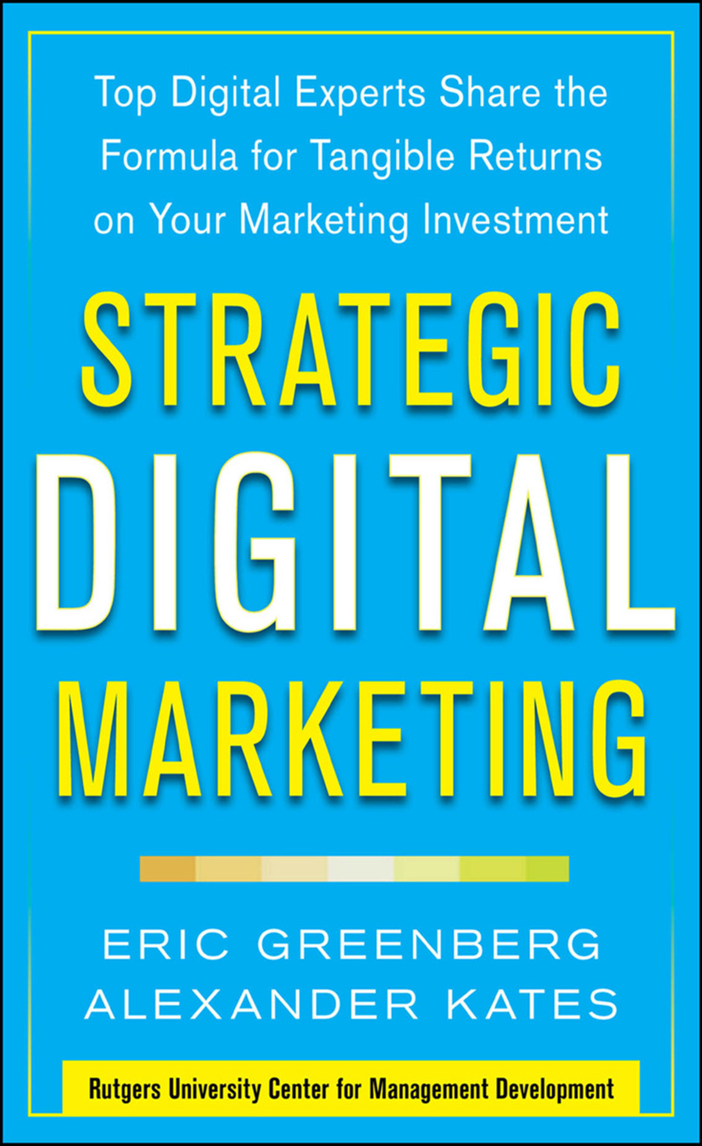 Strategic Digital Marketing: Top Digital Experts Share the Formula for Tangible Returns on Your Marketing Investment 1st Edition - (PDF/EPUB Version)