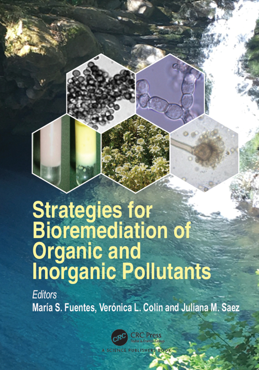 Strategies for Bioremediation of Organic and Inorganic Pollutants 1st ...