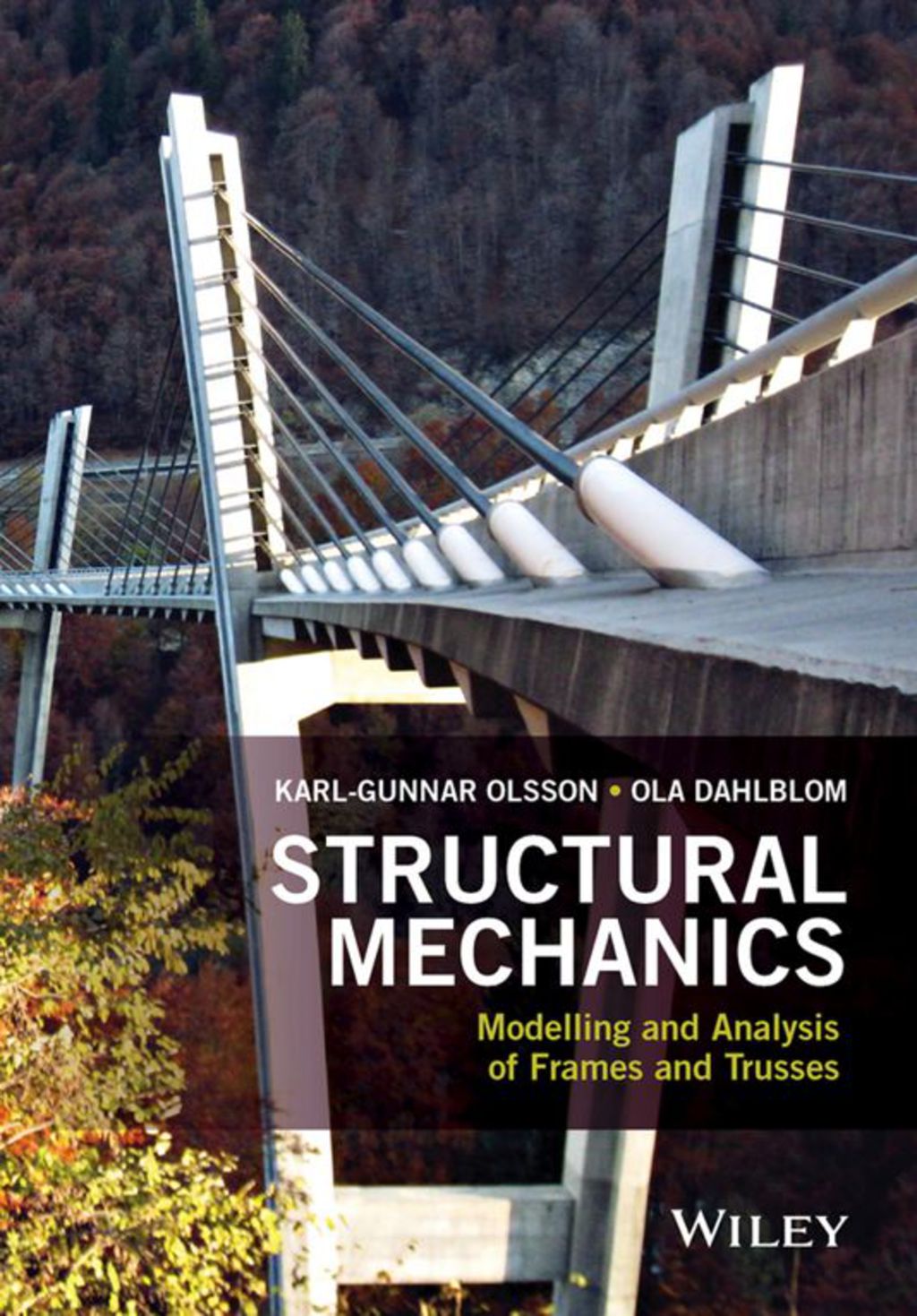 Structural Mechanics: Modelling and Analysis of Frames and Trusses 1st ...