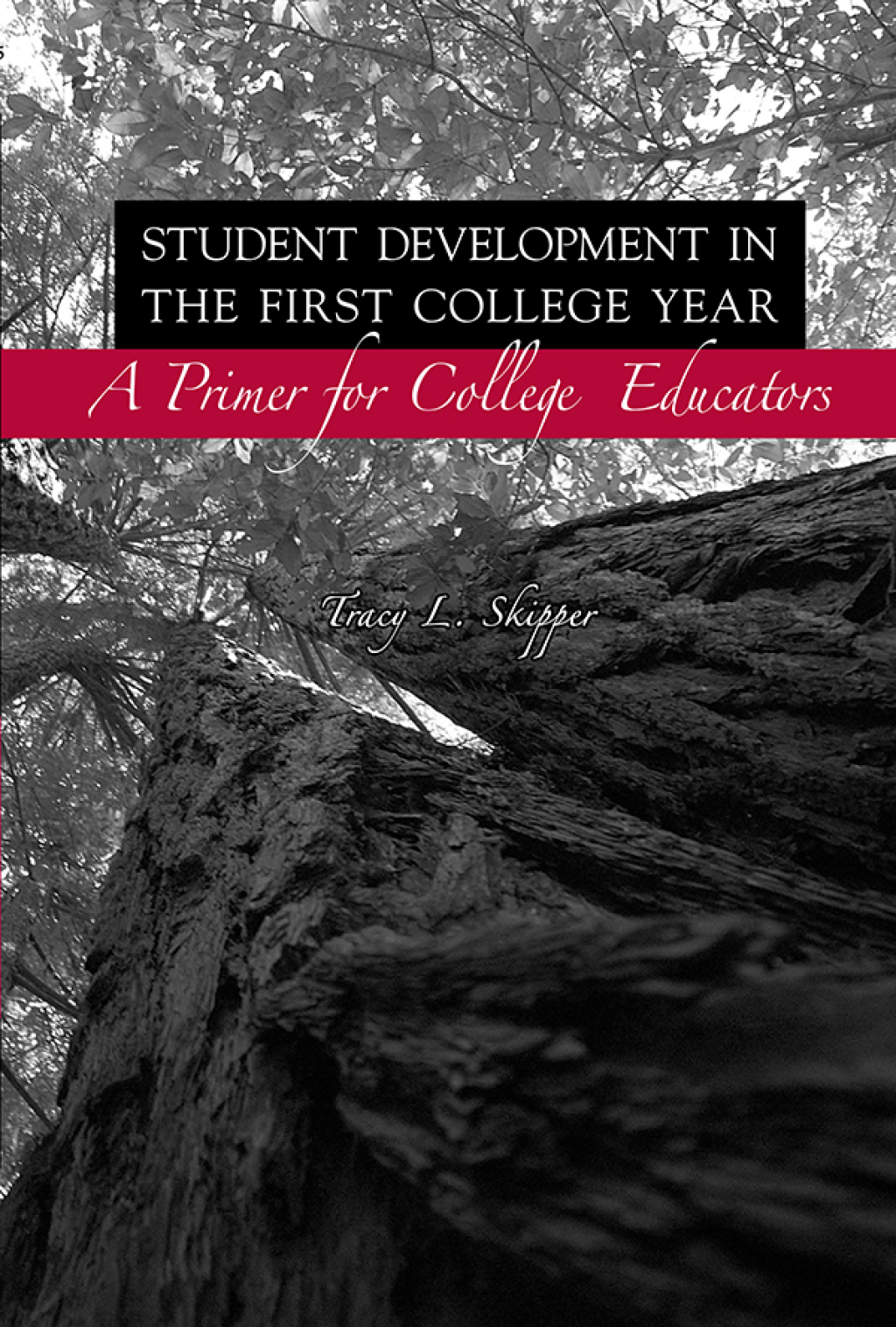 Student Development in the First College Year: A Primer for College Educators - (PDF/EPUB Version)