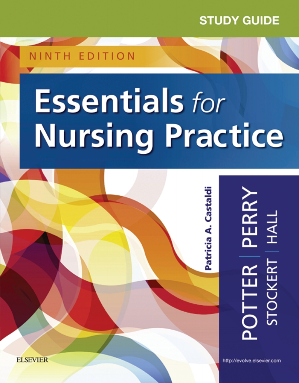 Study Guide for Essentials for Nursing Practice 9th Edition - (PDF/EPUB Version)