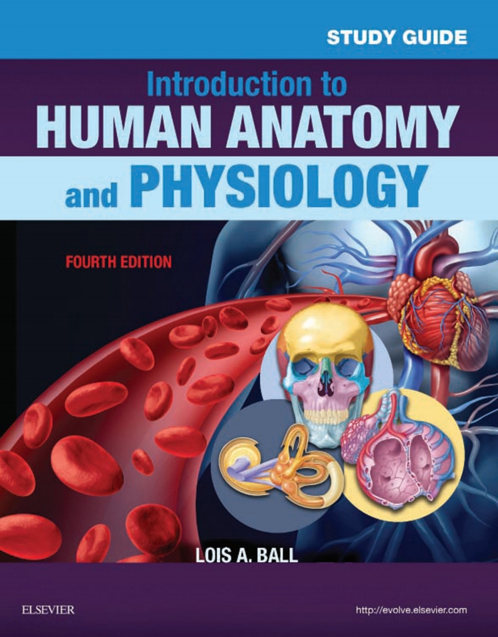 Study Guide for Introduction to Human Anatomy and Physiology 4th Edition - (PDF/EPUB Version)