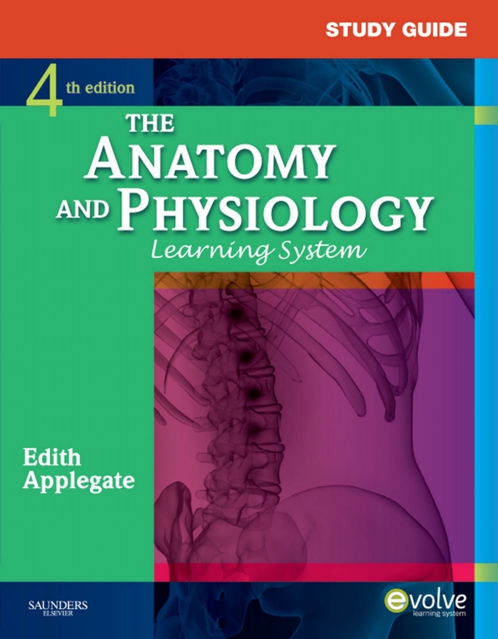 Study Guide for The Anatomy and Physiology Learning System 4th Edition - (PDF/EPUB Version)