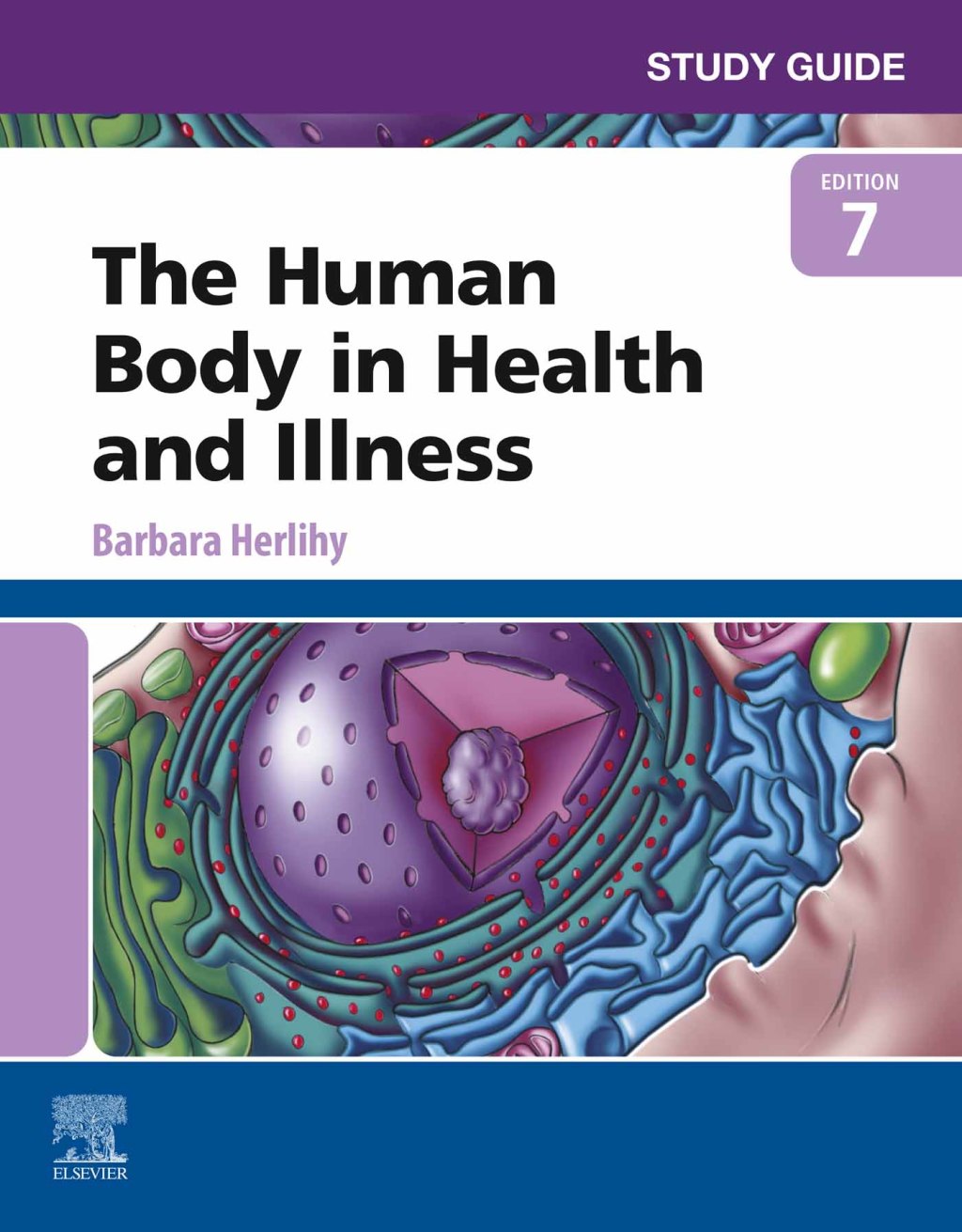 Study Guide for The Human Body in Health and Illness 7th Edition - (PDF/EPUB Version)