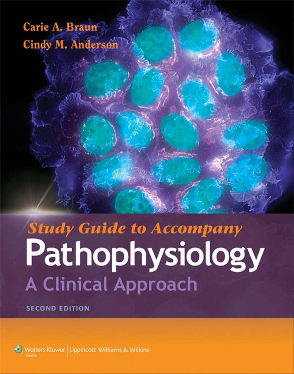 Study Guide to Accompany Pathophysiology: A Clinical Approach 2nd Edition - (PDF/EPUB Version)