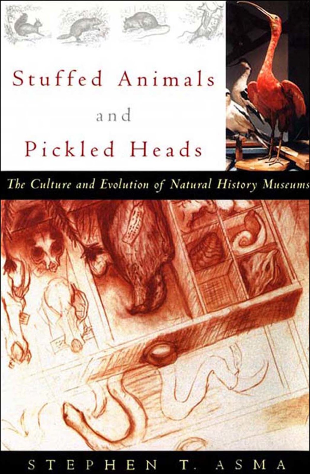 Stuffed Animals and Pickled Heads The Culture of Natural History Museums - (PDF/EPUB Version)