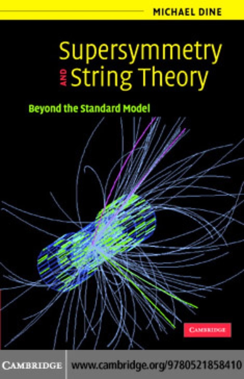 Supersymmetry and String Theory Beyond the Standard Model 1st Edition â ...