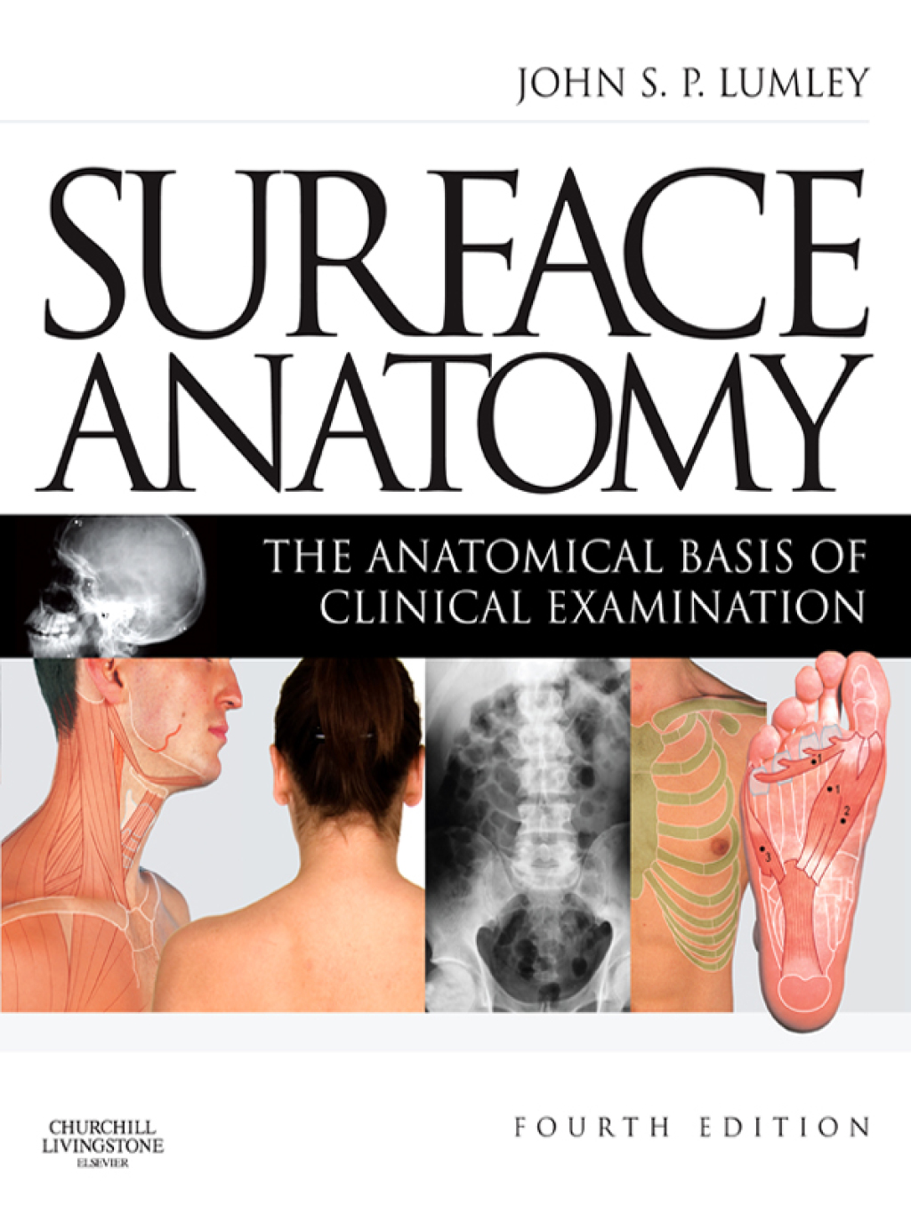 Surface Anatomy The Anatomical Basis of Clinical Examination 4th Edition - (PDF/EPUB Version)