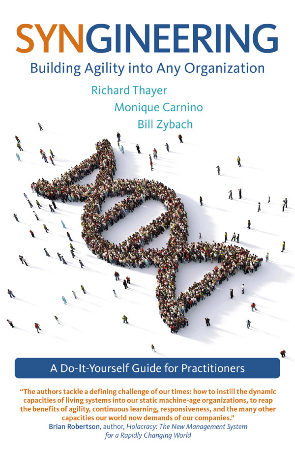 Syngineering: Building Agility into Any Organization A Do-It-Yourself Guide for Practitioners - (PDF/EPUB Version)