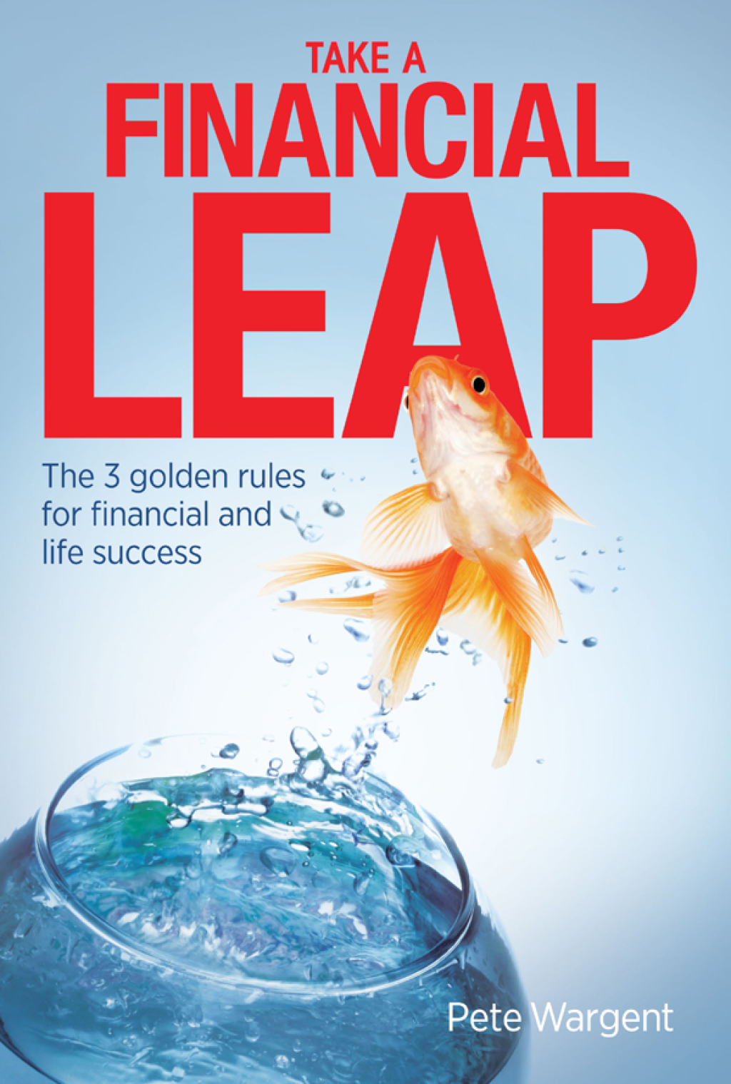 Take a Financial Leap The 3 golden rules for financial life success - (PDF/EPUB Version)