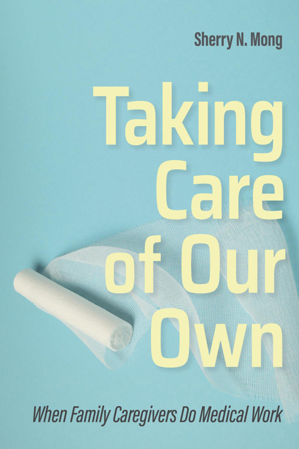 Taking Care of Our Own When Family Caregivers Do Medical Work - (PDF/EPUB Version)