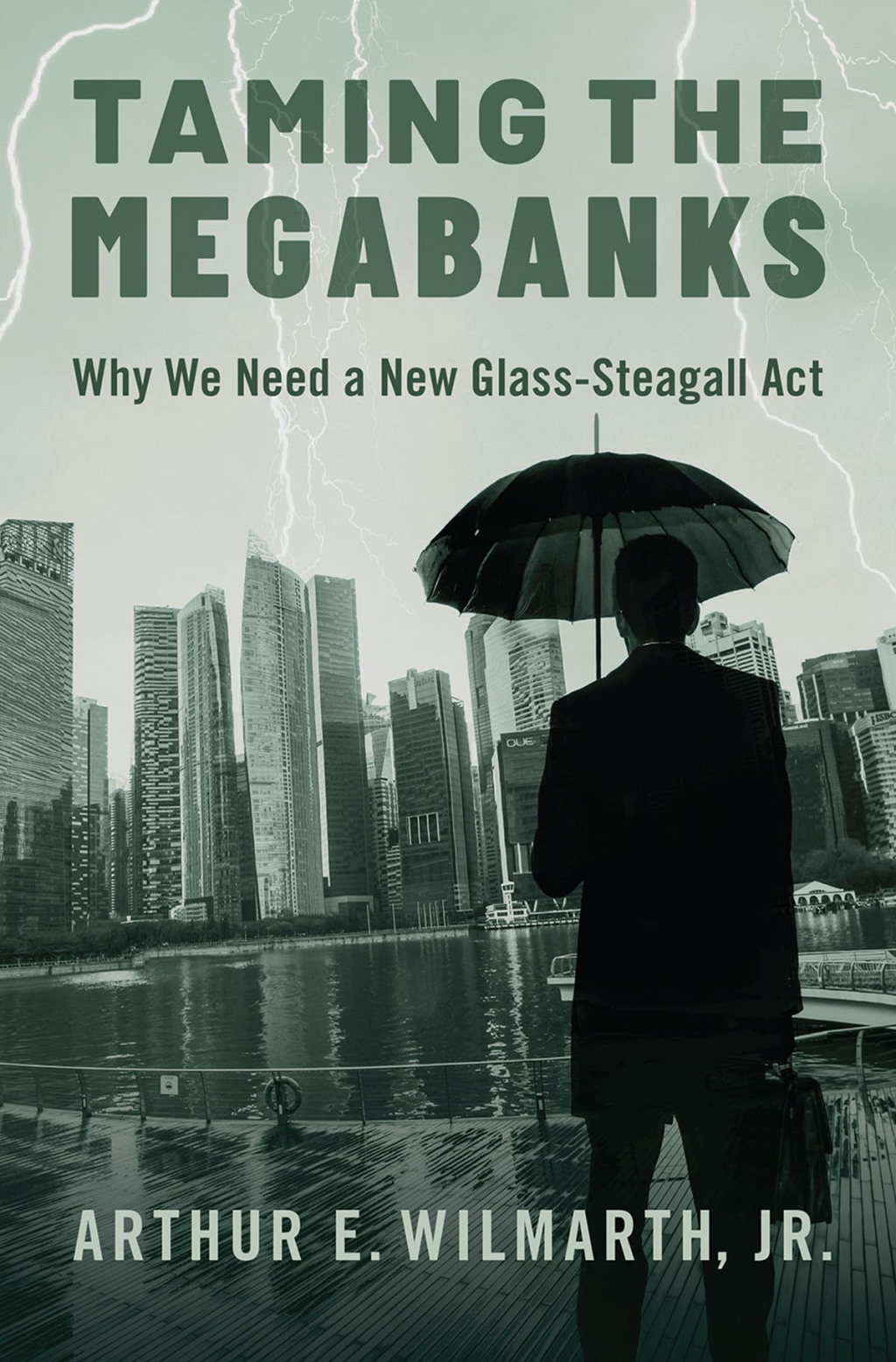 Taming the Megabanks Why We Need a New Glass-Steagall Act - (PDF/EPUB Version)
