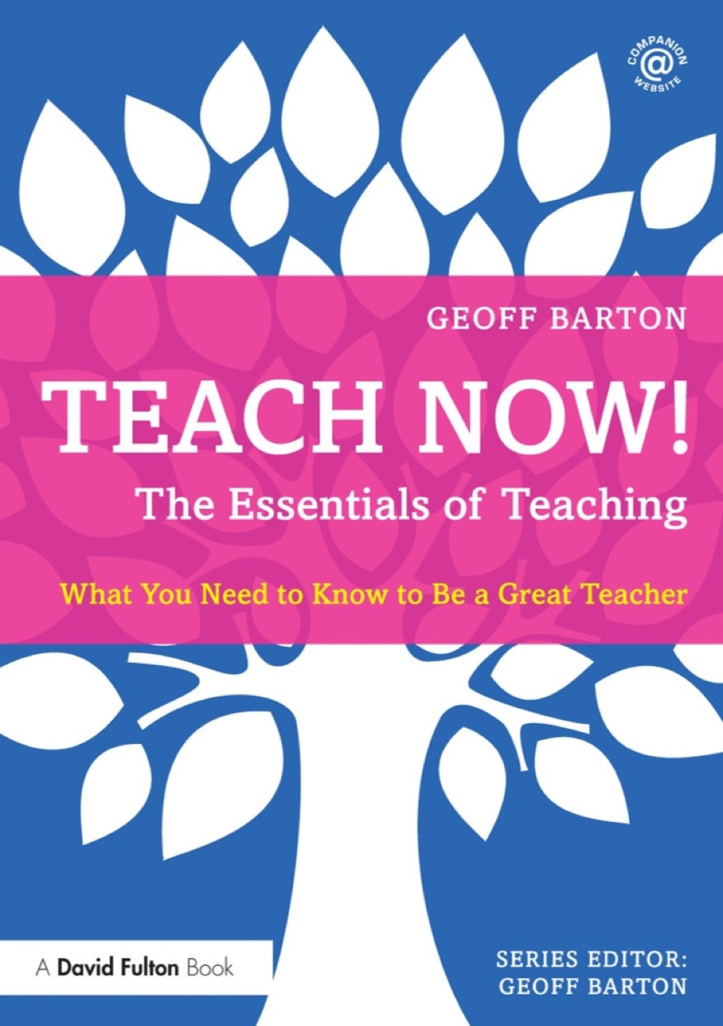 Teach Now! The Essentials of Teaching - (PDF/EPUB Version)
