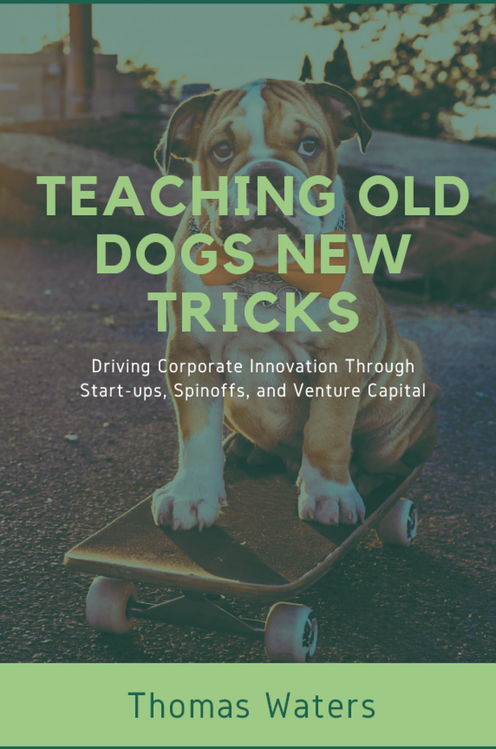 Teaching Old Dogs New Tricks Driving Corporate Innovation Through Start-ups, Spinoffs, and Venture Capital - (PDF/EPUB Version)