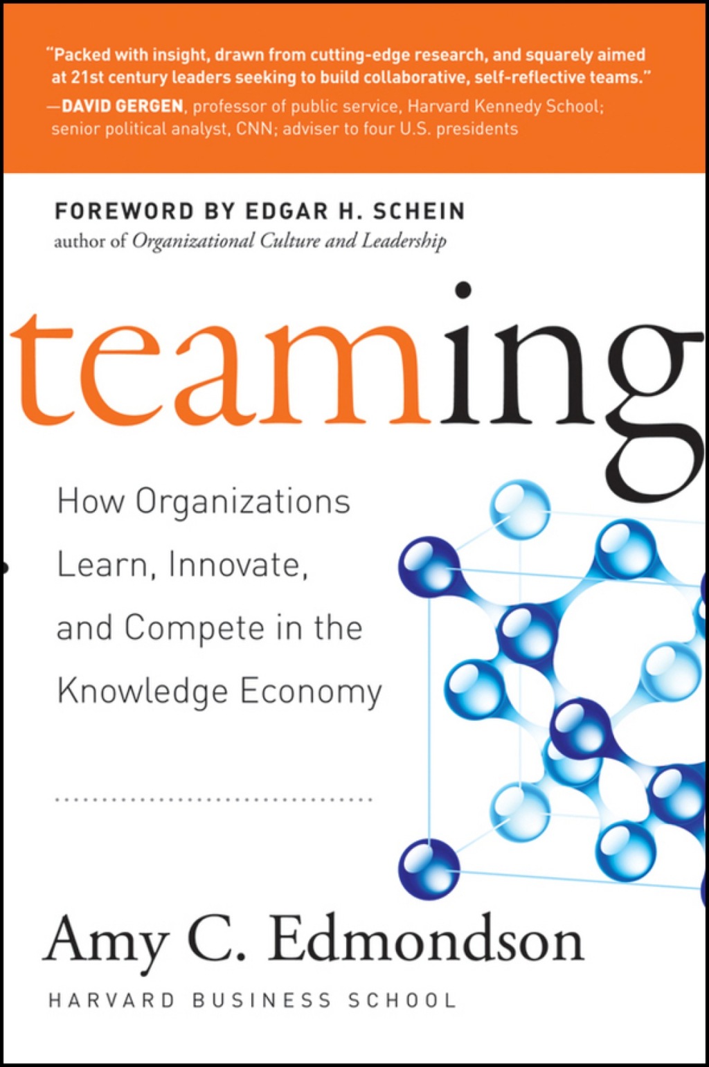 Teaming: How Organizations Learn, Innovate, and Compete in the Knowledge Economy 1st Edition - (PDF/EPUB Version)