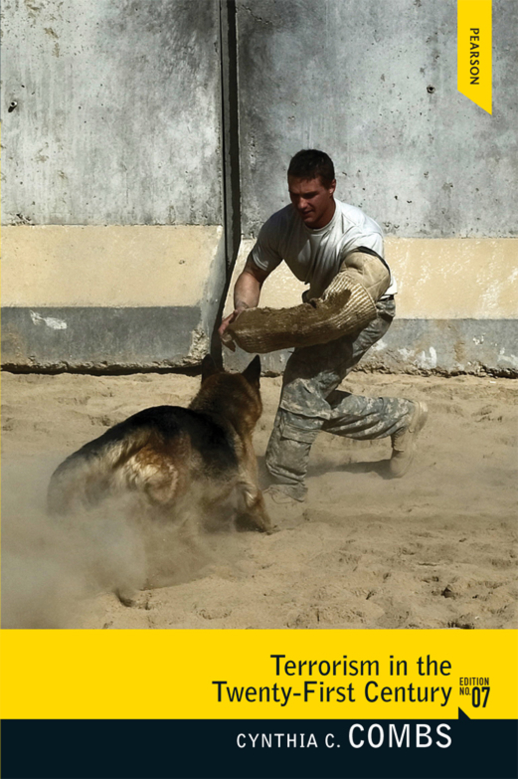 Terrorism in the 21st Century 7th Edition - (PDF/EPUB Version)