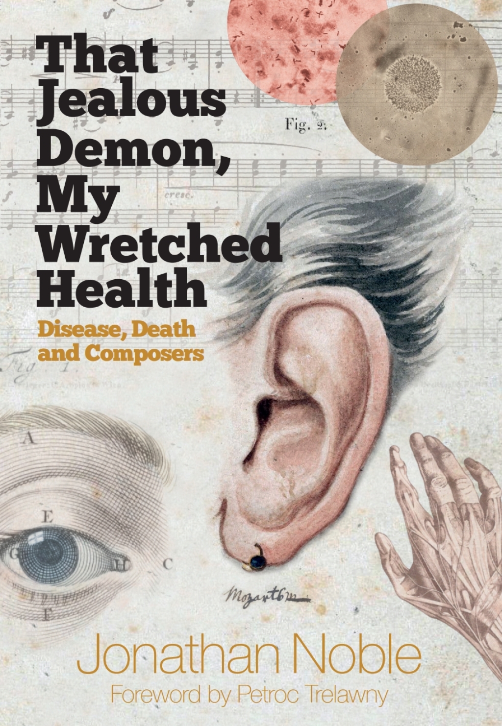 That Jealous Demon, My Wretched Health Disease, Death and Composers 1st Edition - (PDF/EPUB Version)