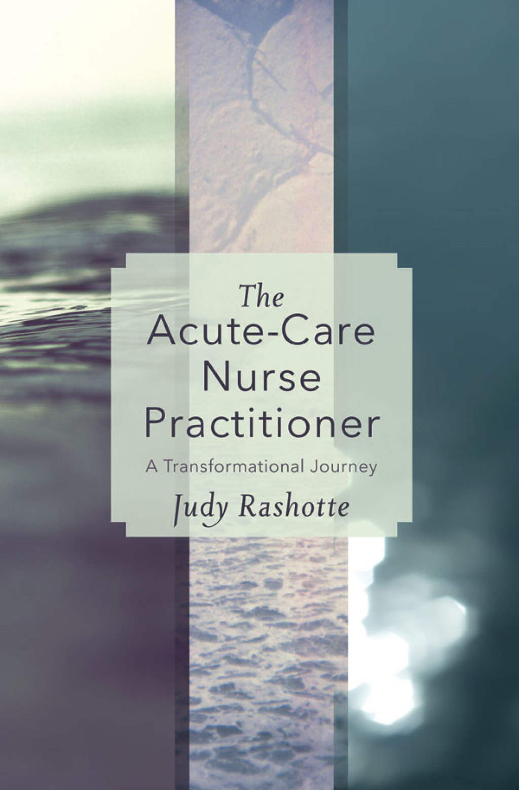 The Acute-Care Nurse Practitioner A Transformational Journey - (PDF/EPUB Version)